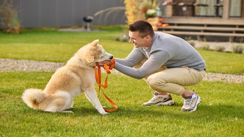 What Your Dog’s Leash Actually Says About Your Handling Style