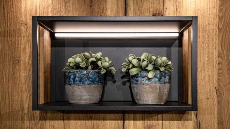 Terrarium